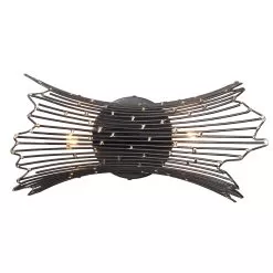 Rikki 320B02CBAG 2-Light Vanity Light - Carbon/Aged Gold