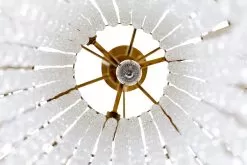 Lafayette 359C07HG 7-Light Chandelier - Havana Gold -Lighting Decoration Store 359C07HG 5