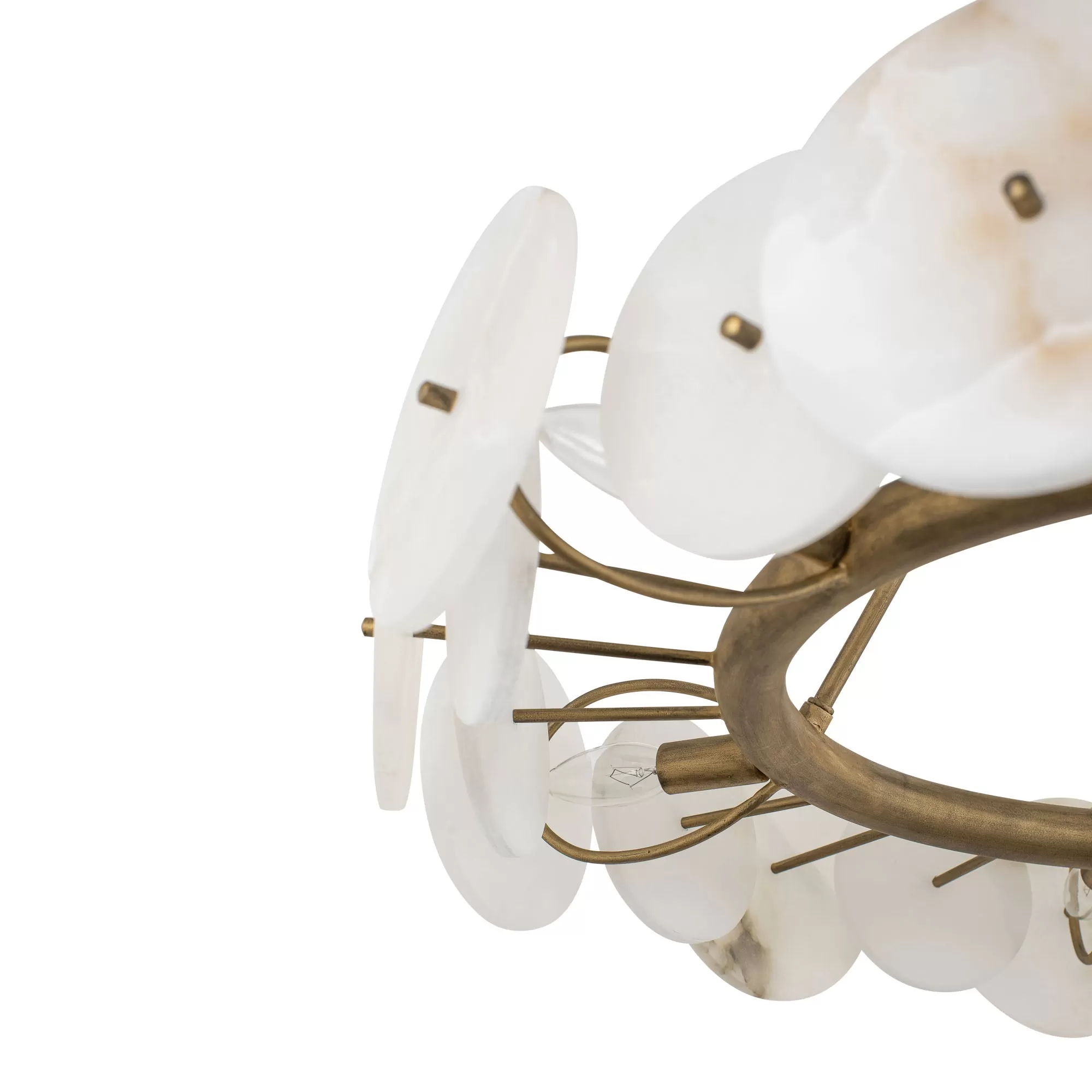 Cosmos 370C06HG 6-Light Chandelier - Havana Gold 6 Cosmos 370C06HG 6-Light Chandelier - Havana Gold - Image 6