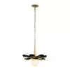 Daphne 372P01MMBFG 1-Light Medium Pendant Light - Matte Black/French Gold