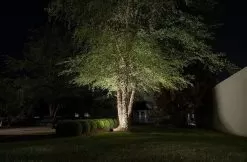 50W LED Flood Light - Yoke Mount - 175W MH - 6,500 Lumens - 5000K -Lighting Decoration Store afl 50k50 110 u app accent tree