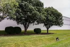 100W Yoke Mount LED Flood Light - 400W Equivalent - 13000 Lumens - Cool White -Lighting Decoration Store afl xk70 110 u app installed landscape lighting