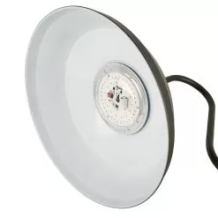 Gooseneck Light - Bronze 15.6” Shade LED Barn Light - 1500 Lumens - 3000K / 4000K 9 Gooseneck Light - Bronze 15.6” Shade LED Barn Light - 1500 Lumens - 3000K / 4000K -Lighting Decoration Store b350003 xw xkbn front lens