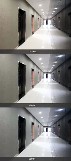 8" LED Commercial Recessed Downlight - Selectable CCT - Selectable Wattage - Dimmable - 1200-2200 Lumens -Lighting Decoration Store cdl8d sw3b sp22w commercial hallway cct no icon