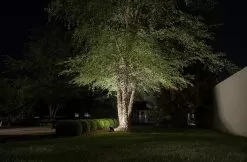 60W Smart LED Flood Light Fixture - MiLight / MiBoxer RGB+Tunable White - 120V - 6000 Lumens -Lighting Decoration Store flcu 40k50 60 app accent tree light0