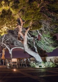 150W LED Flood Light - Yoke Mount - 400W MH - 21,000 Lumens - 5000K -Lighting Decoration Store flood light app adobe stock l