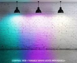 A19 MiBoxer Wi-Fi Smart LED Bulb - RGB+Tunable White - Smartphone / Alexa / Google Home Assistant Compatible - 9W - 60W Equivalent - 850 Lumens -Lighting Decoration Store fut012 app e26 3 pendents lights colors01