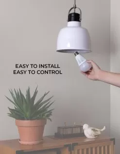 A19 MiBoxer Wi-Fi Smart LED Bulb - RGB+Tunable White - Smartphone / Alexa / Google Home Assistant Compatible - 9W - 60W Equivalent - 850 Lumens -Lighting Decoration Store fut012 app installing e26 bulb