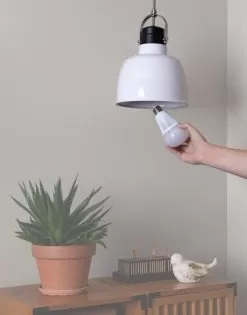 A19 MiBoxer RGB+Tunable White Smart LED Bulb - Hubless - 9W - 60W Equivalent - 850 Lumens - Optional RF Remote -Lighting Decoration Store fut012 app installing e26 bulb00