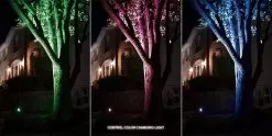 MR16 MiBoxer RGB+Tunable White LED Light Bulb - 4W - 35W Equivalent - 280 Lumens - Light Only -Lighting Decoration Store fut104 app mr16 color changing on side of tree 2