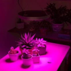 32W Full-Spectrum LED Grow Light - 4-Band Red/Blue/UV/IR For Indoor Plant Growth - GLC-32W4F -Lighting Decoration Store glc 32w4f app basement