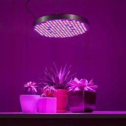32W Full-Spectrum LED Grow Light - 4-Band Red/Blue/UV/IR For Indoor Plant Growth - GLC-32W4F -Lighting Decoration Store glc 32w4f app basement table