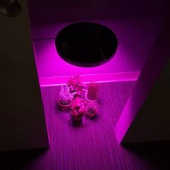 32W Full-Spectrum LED Grow Light - 4-Band Red/Blue/UV/IR For Indoor Plant Growth - GLC-32W4F -Lighting Decoration Store glc 32w4f app in closet