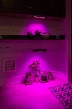 32W Full-Spectrum LED Grow Light - 4-Band Red/Blue/UV/IR For Indoor Plant Growth - GLC-32W4F -Lighting Decoration Store glc 32w4f vs glr 10w4f output 1