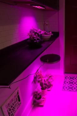 32W Full-Spectrum LED Grow Light - 4-Band Red/Blue/UV/IR For Indoor Plant Growth - GLC-32W4F -Lighting Decoration Store glc 32w4f vs glr 10w4f output from above