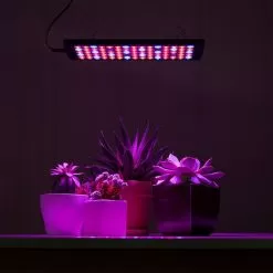 10W Full-Spectrum LED Grow Light - 4-Band Red/Blue/UV/IR For Indoor Plant Growth - GLR-10W4F -Lighting Decoration Store glr 10w4f app basement table