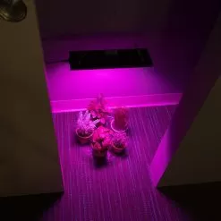 10W Full-Spectrum LED Grow Light - 4-Band Red/Blue/UV/IR For Indoor Plant Growth - GLR-10W4F -Lighting Decoration Store glr 10w4f app in closet