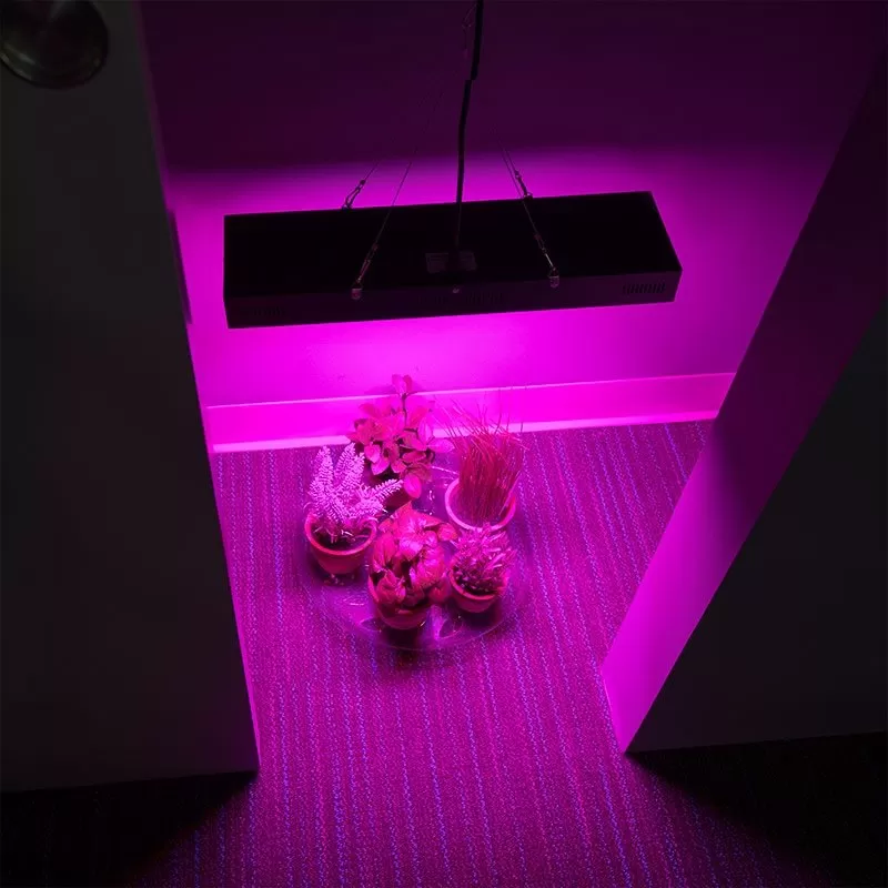 65W Full-Spectrum LED Grow Light - 5-Band Red/Blue/UV/IR/White For Indoor Plant Growth - GLR-65W5F 7 65W Full-Spectrum LED Grow Light - 5-Band Red/Blue/UV/IR/White For Indoor Plant Growth - GLR-65W5F - Image 7