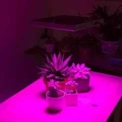30W LED Grow Light - 2-Band Red/Blue For Indoor Plant Growth - GLS-30W2F -Lighting Decoration Store gls 30w2f app basement