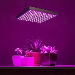 30W LED Grow Light - 2-Band Red/Blue For Indoor Plant Growth - GLS-30W2F -Lighting Decoration Store gls 30w2f app basement table