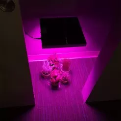 30W LED Grow Light - 2-Band Red/Blue For Indoor Plant Growth - GLS-30W2F -Lighting Decoration Store gls 30w2f app in closet