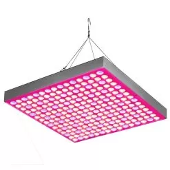 30W LED Grow Light - 2-Band Red/Blue For Indoor Plant Growth - GLS-30W2F