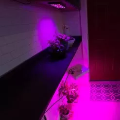 10W Full-Spectrum LED Grow Light - 4-Band Red/Blue/UV/IR For Indoor Plant Growth - GLR-10W4F -Lighting Decoration Store gls 65w5f vs glr 10w4f output from above