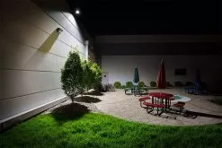 14" LED Gooseneck Barn Light - Swivel Head - 42W - 4000 Lumens - Natural White -Lighting Decoration Store goose neck led flush mount light side beam pattern commercial building landscape outdoor eatting