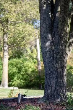 Solid Brass LED-Ready Landscape Spot Light - MR16 Drop-In - Fixture Only 18 Solid Brass LED-Ready Landscape Spot Light - MR16 Drop-In - Fixture Only -Lighting Decoration Store lsbf bz kit close up daytime 2