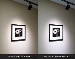 20W LED Track Head - Halo Track - 120 VAC - 60-degree - 2,050 Lumens - White - 4000K Natural White -Lighting Decoration Store lw trbxw 92x60 xkh framed art cct20 watt edited