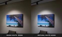 10W LED Track Head - Halo Track - 120 VAC - 60-degree - 980 Lumens - Black - 4000K Natural White -Lighting Decoration Store lw trbxw 92x60 xkh ocean print cct 10wupdated 2