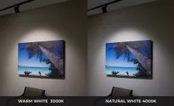 10W LED Halo Track Head - 120 VAC - 60-degree - 980 Lumens - Black - 3000K / 4000K -Lighting Decoration Store lw trbxw 92x60 xkh ocean print cct 10wupdated