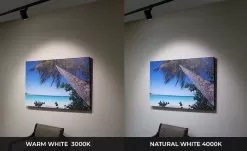 20W LED Halo Track Head - 120 VAC - 60-degree - 2,050 Lumens - Black - 3000K / 4000K -Lighting Decoration Store lw trbxw 92x60 xkh ocean print cct 20wupdated