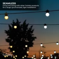 Twinkly Festoon Gold & Silver - Patio String Lights - Amber / Warm White / Cool White – Generation II - 20 LED - 33ft -Lighting Decoration Store twf020stp bus 2 1