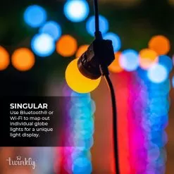 Twinkly Festoon Multicolor - RGB Smart Outdoor String Lights - 20 Bulbs - Generation II - 20 LED - 33ft -Lighting Decoration Store twf020stp bus 4