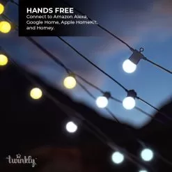 Twinkly Festoon Gold & Silver - Patio String Lights - Amber / Warm White / Cool White – Generation II - 20 LED - 33ft -Lighting Decoration Store twf020stp bus 4 1
