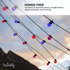 Twinkly Festoon Multicolor - RGB Smart Outdoor String Lights - 20 Bulbs - Generation II - 20 LED - 33ft -Lighting Decoration Store twf020stp bus 5