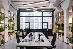 4’ LED Linear Up/Down Pendant Light - Selectable Wattage And CCT - Up To 6,500 Lumens - 30W / 40W / 50W - 3500K / 4000K / 5000K - Black 12 4’ LED Linear Up/Down Pendant Light - Selectable Wattage And CCT - Up To 6,500 Lumens - 30W / 40W / 50W - 3500K / 4000K / 5000K - Black -Lighting Decoration Store udla sw3c50 bk app office